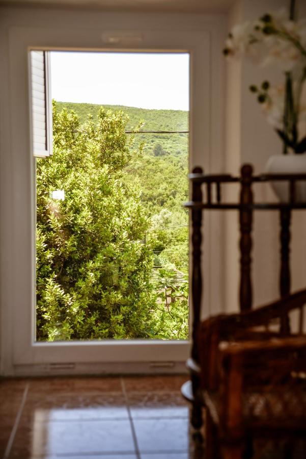 Apartment Nikola Kotor Zewnętrze zdjęcie