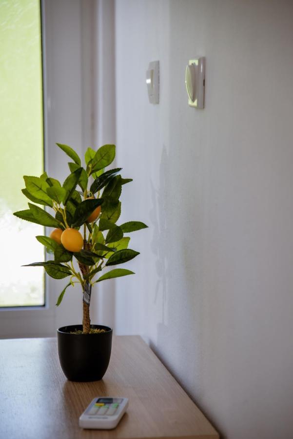 Apartment Nikola Kotor Zewnętrze zdjęcie